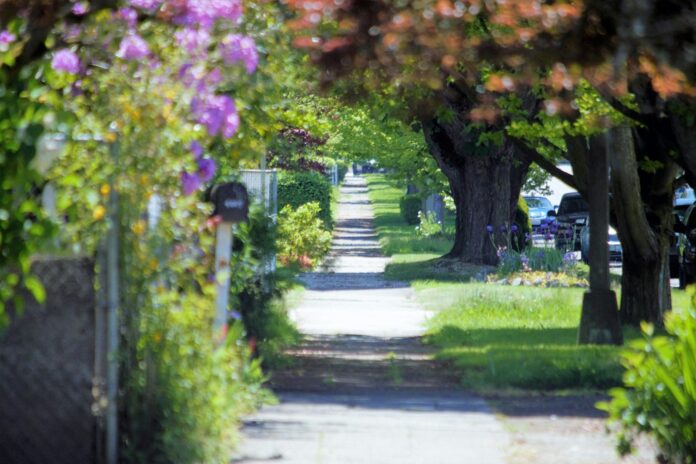 Photo by fr0ggy5 a pathway lined with lots of trees and flowers