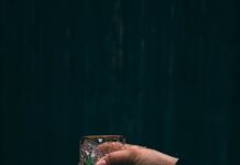 “영양 & 보충제, 일상 속 건강관리 동반자로 자리 잡다” person holding clear drinking glass with water