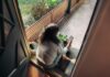 만성피로, ‘느리게 살아보기’가 해답일까?…실천 가능한 일상 회복 루틴 주목 Woman sitting on balcony with smartphone